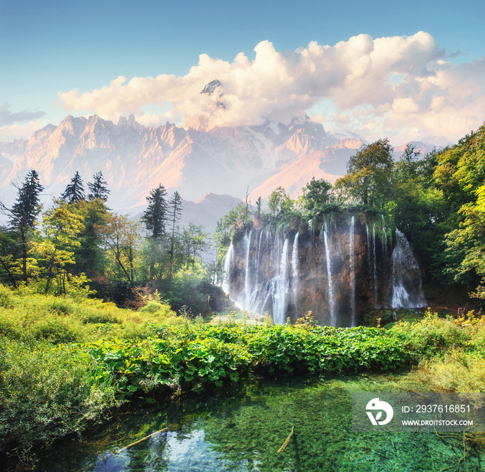 A photo of fishes swimming in a lake, taken in the national park Plitvice Croatia