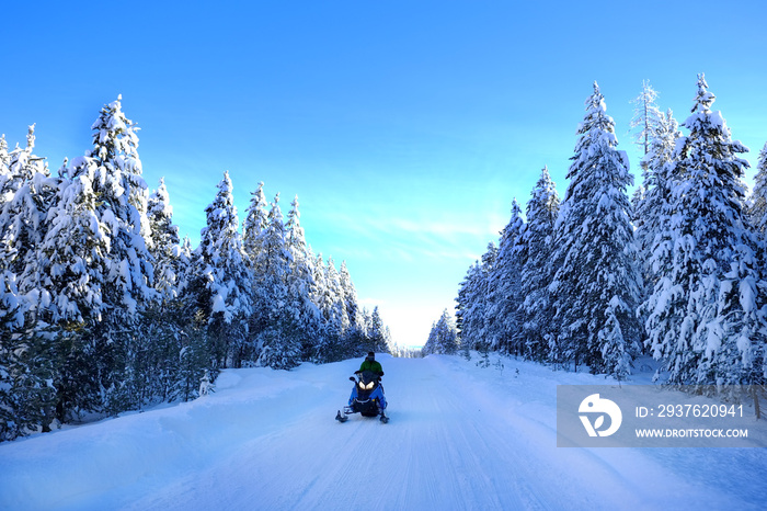 白雪皑皑的松树在雪山公路上扫雪