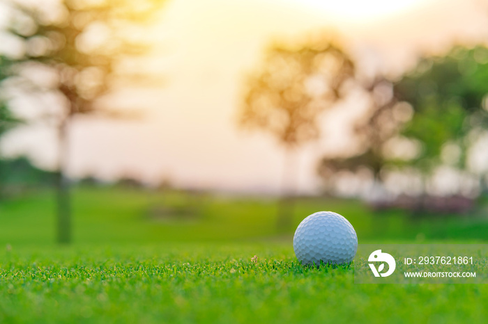 Golf ball on green grass ready to be shot at golf court