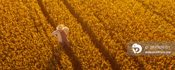 Aerial view of farmer standing in golden ripe wheat field