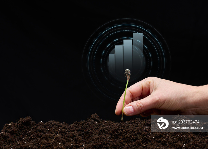 female hand plants a sprout in the ground and a holographic graphic on a black background. Business 