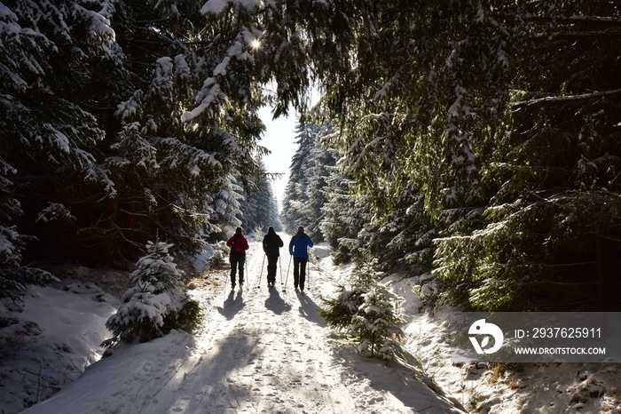 Cross country skiing in winter Brdy Hills in Central Bohemia, Czech Republic.