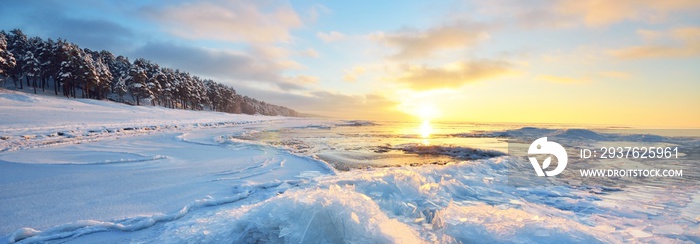 日落时冰冻的波罗的海海岸全景。冰块特写，白雪皑皑的针叶树