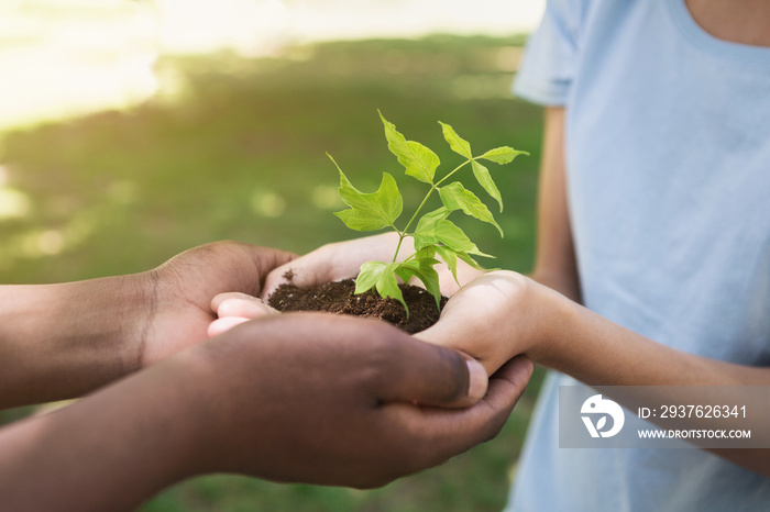 Two hands holding and caring young green plant