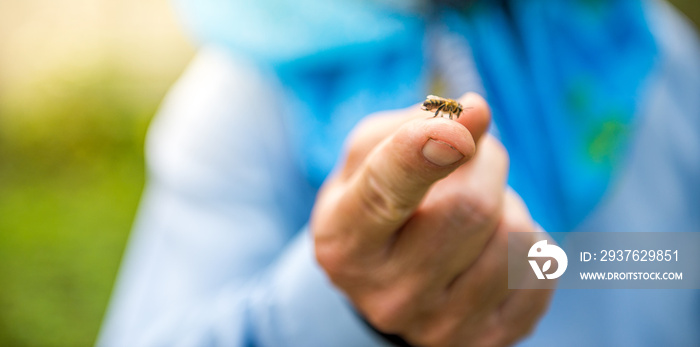 the beekeeper keeps one bee on his finger