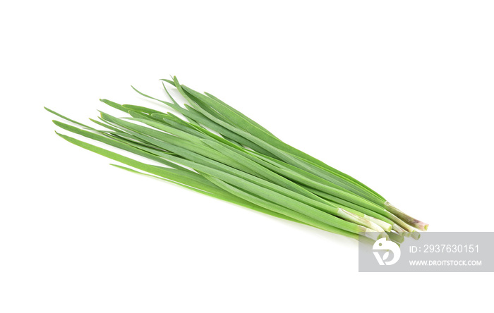 Garlic chives isolated on white background