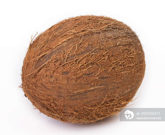 Coconut