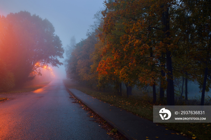 一条空旷的照亮乡村的柏油路，穿过树木和村庄，在一个多雨的秋天的雾中