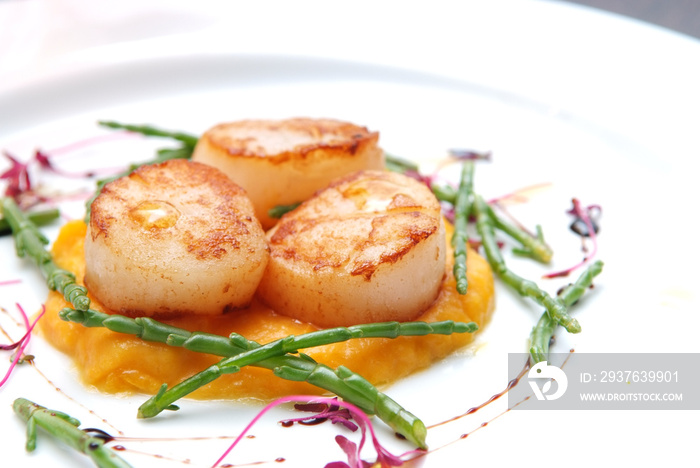 Scallops, creatively arranged food on a white restaurant plate