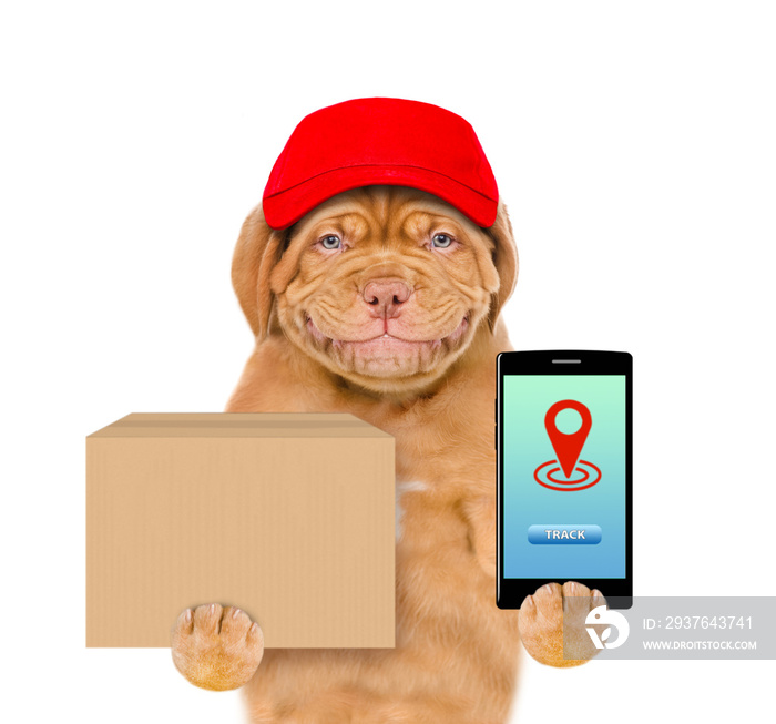 Smiling puppy wearing a blue cap holds smartphone with tracking symbol and big box. Tracking concept