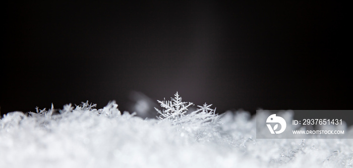 美丽的冰晶躺在雪地里，圣诞节和冬天的背景