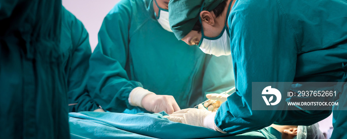 surgeon performs surgery with his team Panorama