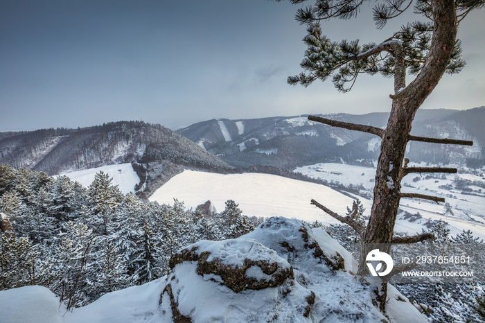 冬日雪景。欧洲斯洛伐克的拉杰克山谷。