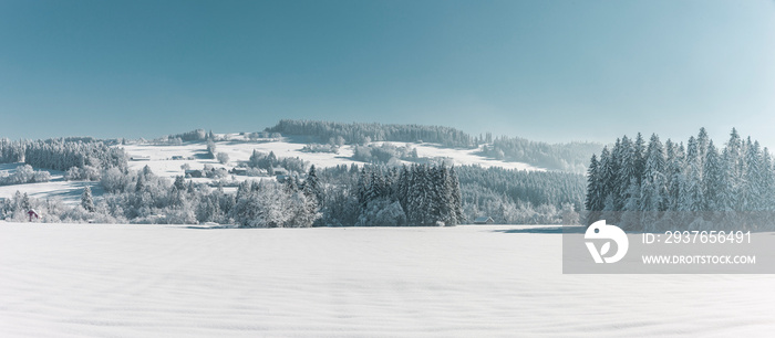 Wunderschöne Winterliche Märchenlandschaft mit verschneitem Tannenwald