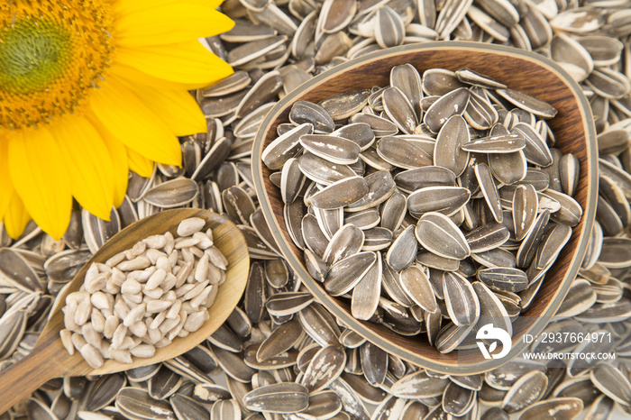 Rich and nutritious sunflower seeds