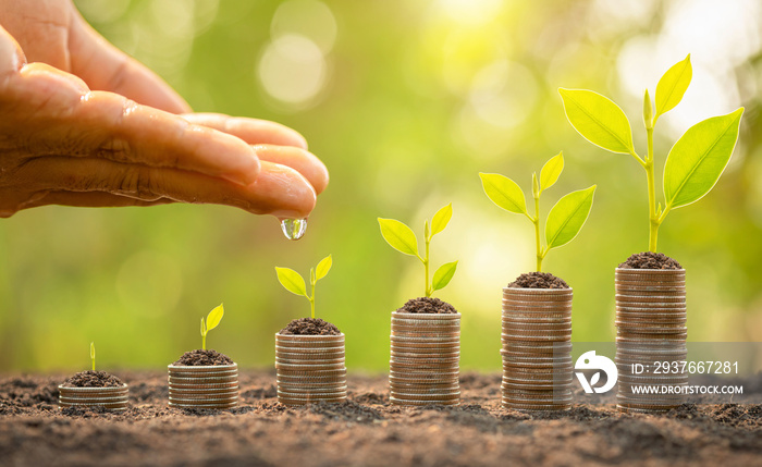 Hand watering to small tree on top of coin stack. Business success, Financial or money growing conce