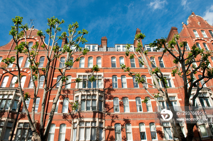 Dulverton Mansions, Grays Inn Road, Holborn, London, UK