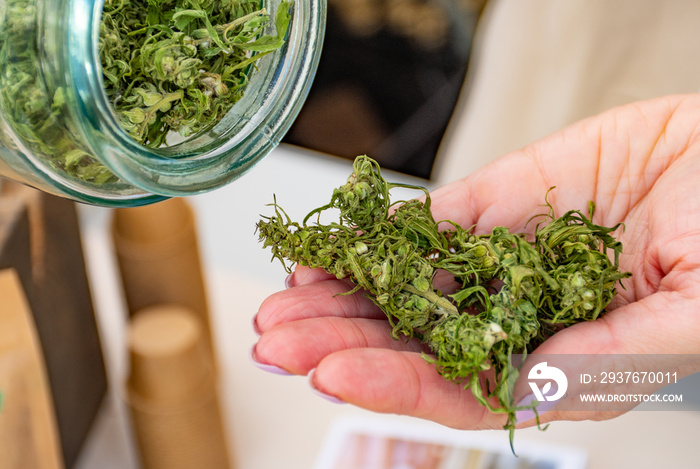 Dry and trimmed marijuana or cannabis buds stored in a glass jar and big bud in a hand of Caucasian 