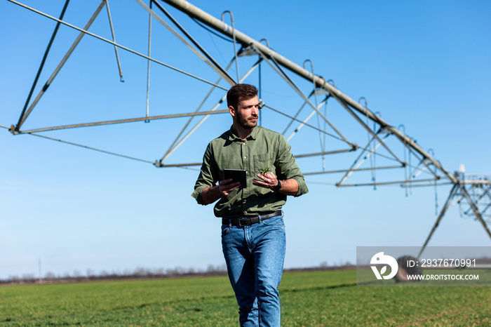 Young farmer standing in wheat field and setup irrigation system on tablet.