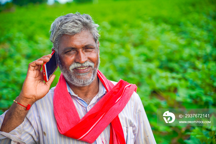 印度农民在农田里打手机