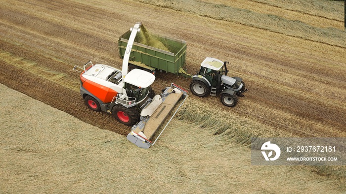 Erntearbeiten aus der Vogelperspektive: Feldhäcksler und Traktor mit Anhänger bei der Ernte auf eine