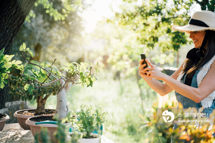 Beautiful woman transplanting bonsai a into a new pot while using smartphone