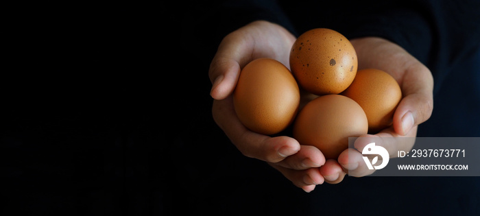 Selective focus, human hands holding organic brown chicken eggs with black color backgrounds for nat