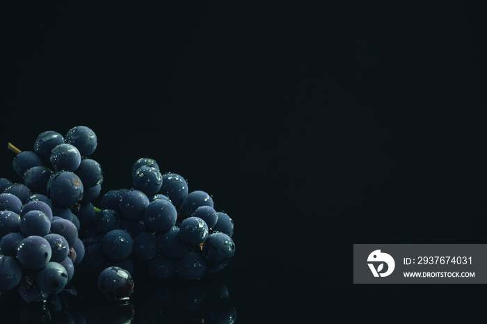 两颗新鲜的藤蓝色葡萄，放在黑色玻璃桌子上，背景为深色