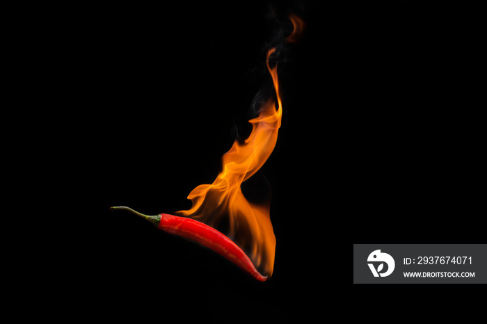带火焰的红辣椒，黑色背景，辣的概念-图片