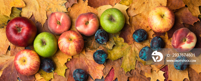 Autumn maple leaves on ancient texture. Falling leaves natural background. Seasonal background.