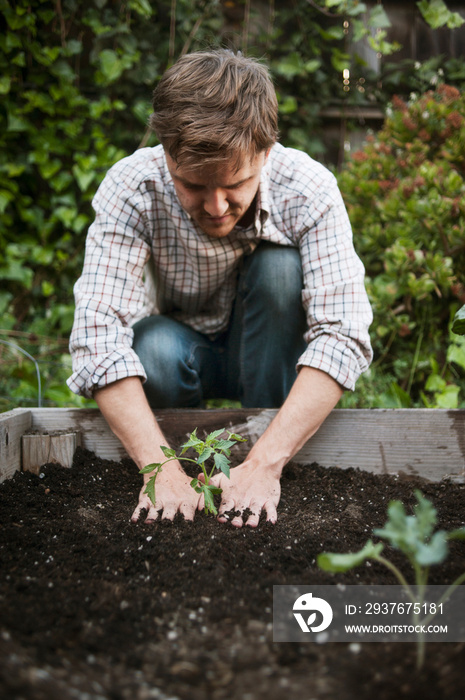 Man gardening