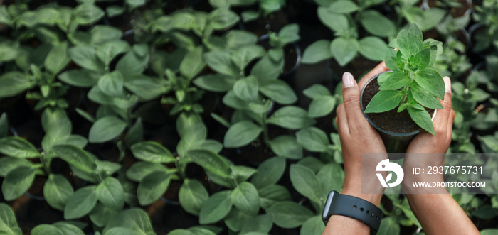 手持智能手表的非裔美国妇女手中拿着花蕾