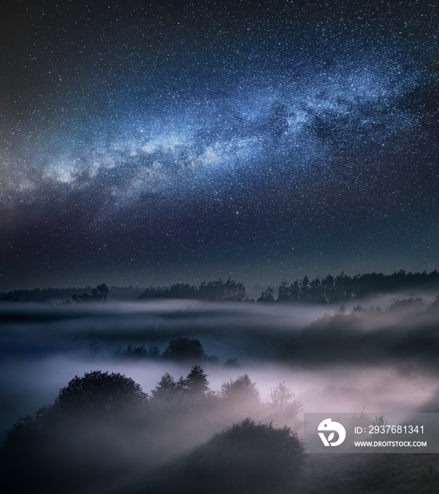 Milky way and foggy valley in forest