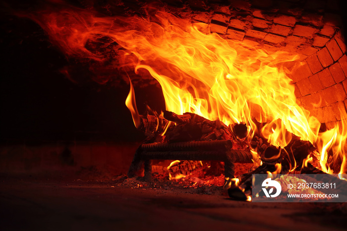 Fire wood burning in the oven