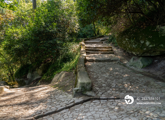 葡萄牙辛特拉上方花园中陡峭的石路选择