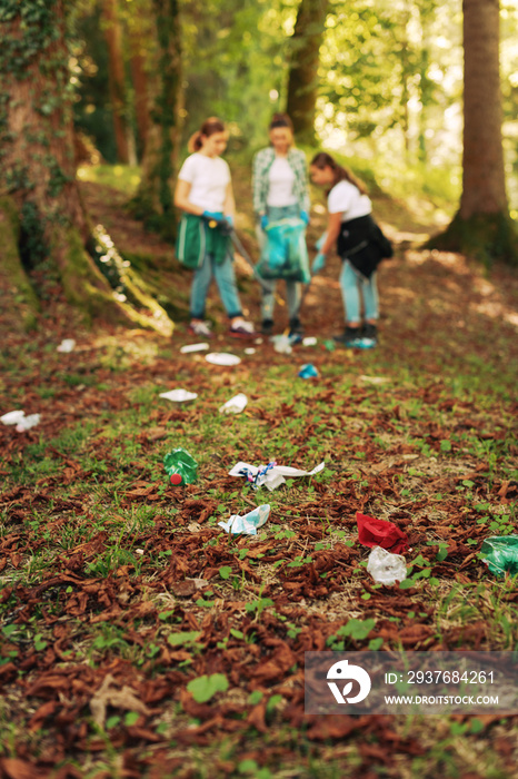 Cleanup volunteers collecting trash in the forest