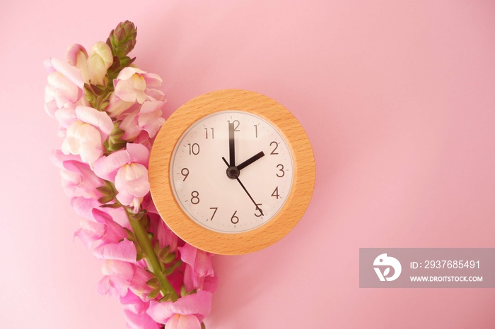 春天前进的概念背景。春天的花朵和粉红色背景上的时钟。春天的时间，斯普林