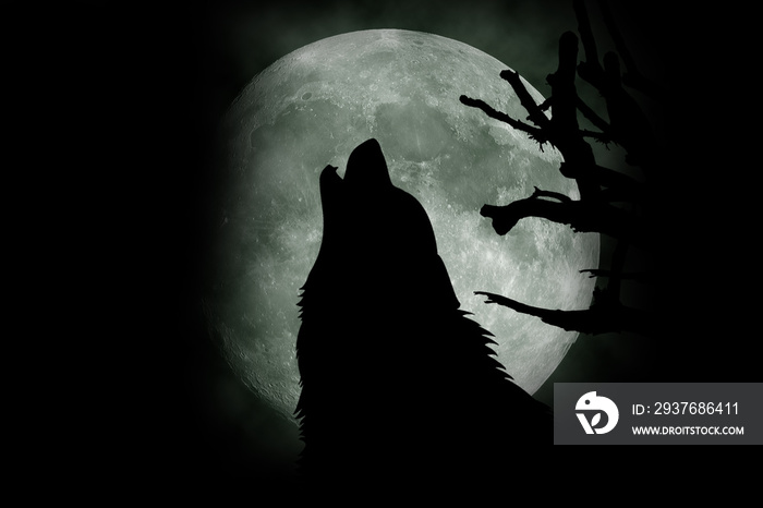 Wolf howling at the moon