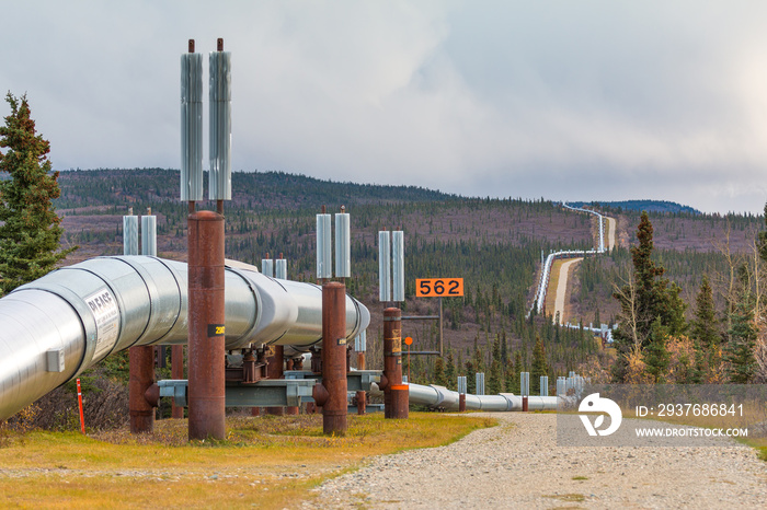 The Trans-Alaska Pipeline in Fall. Richardson Highway. Alaska.