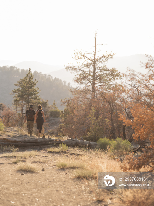 Back view of Indigenous friends hiking along a trail on a mountain