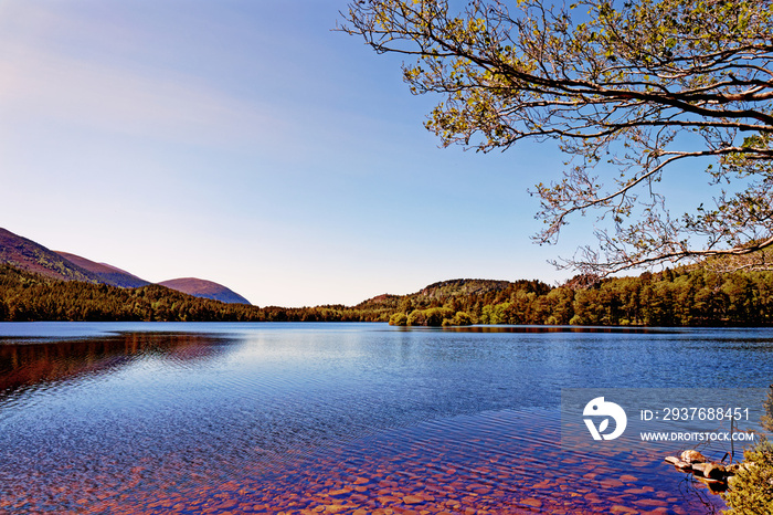 Loch an Eilein - Rothiemurchus, Cairngorms National Park - Scotland, UK