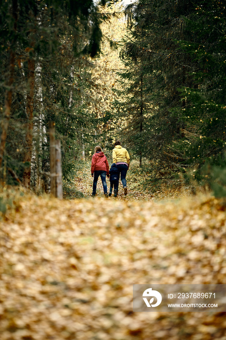 Mother, brother and sister are walking in the beautiful autumn forest. Viivis and strong colors. Sho