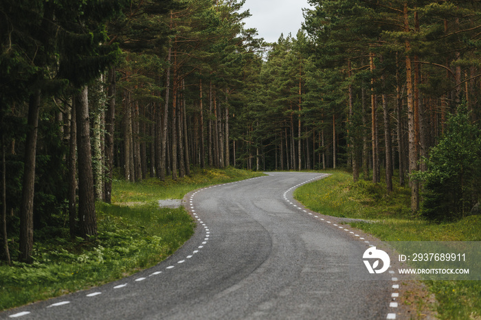 欧洲爱沙尼亚风景优美的弯曲森林路
