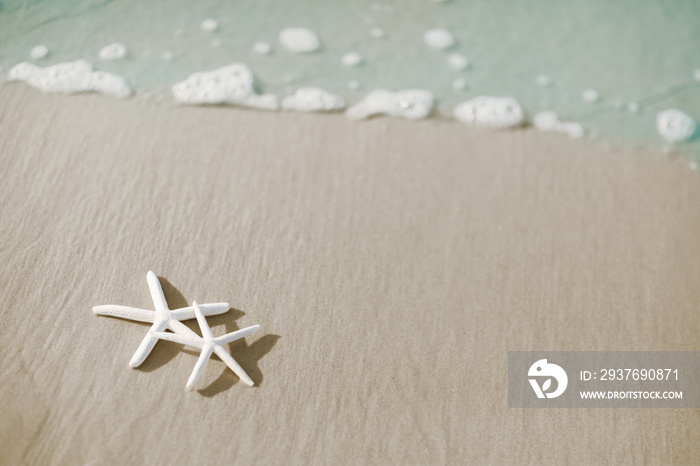 Pair of starfish on the beach