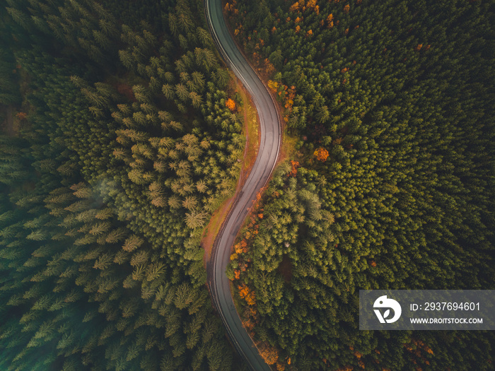 Aerial top view of misty forest with road in the mountains. Drone photography. Rainforest ecosystem 