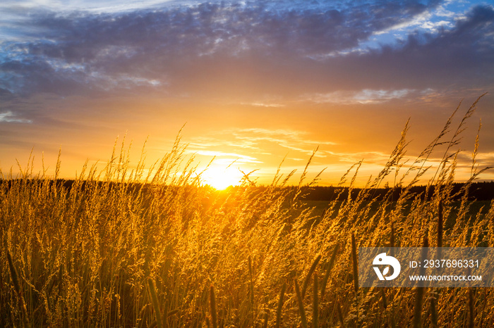 Stimmungsvoller Sonnenuntergang Landschaftsmotiv