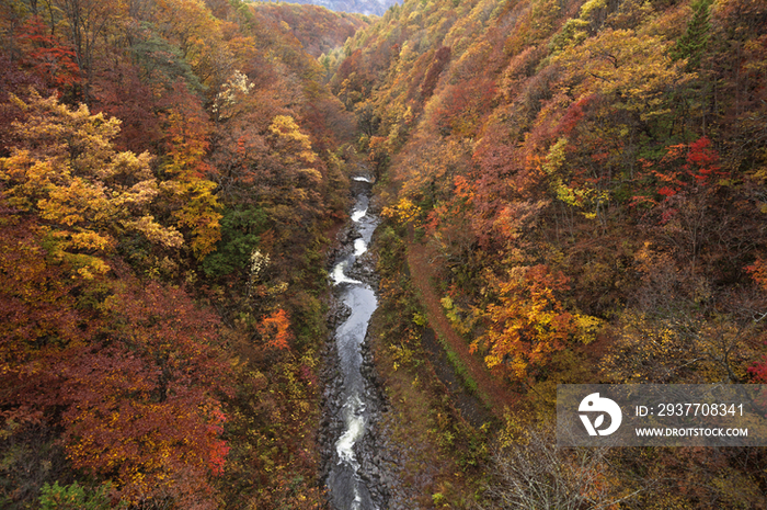 Autumn View of Urabandai, Fukushima Prefecture, Japan