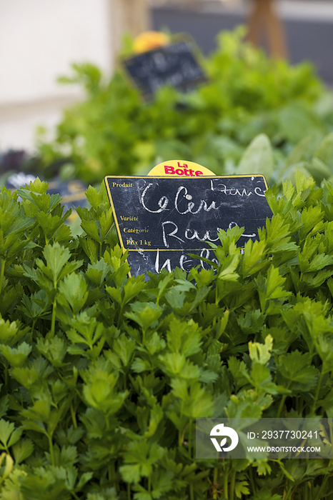 Celery leaves