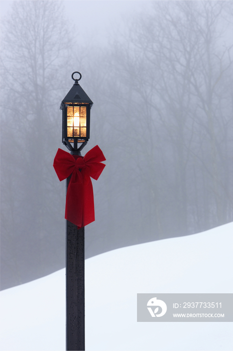 Lamppost in Snow