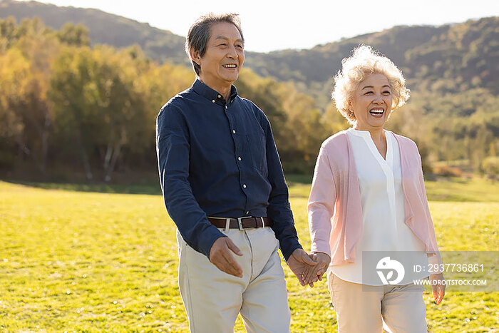 快乐的老年夫妇手牵手在草地上散步